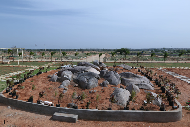 Sukruthi Saanvi Image 4