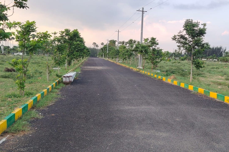 Sukruthi Saanvi Image 3